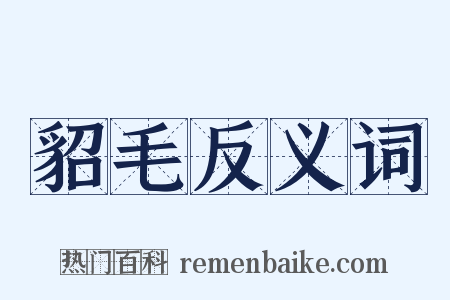 貂毛反义词是什么意思的图片